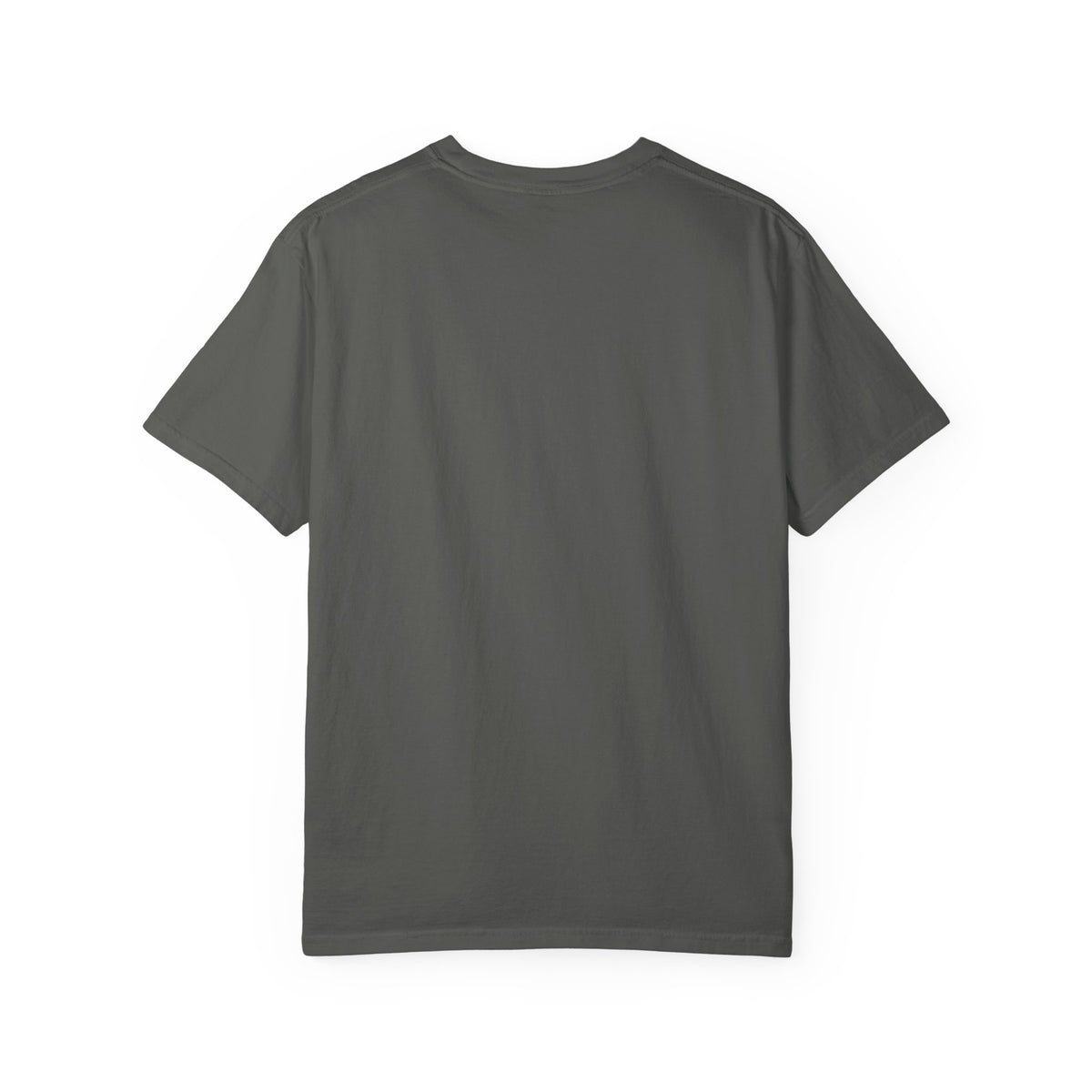 Senior Class of 2027 T-Shirt